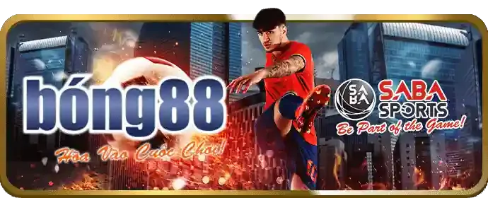 Hỗ trợ khách hàng Vinbet